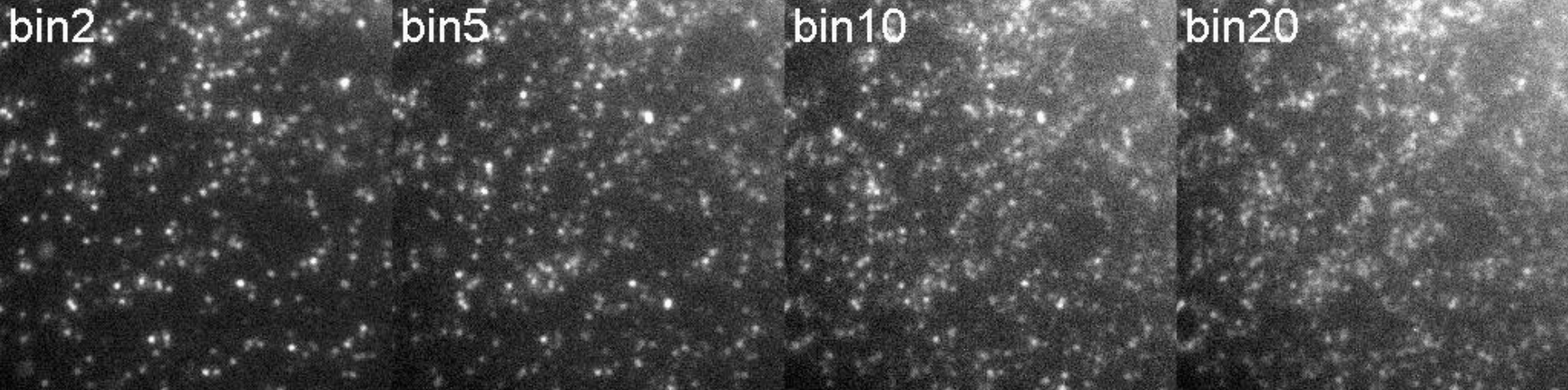 SMLM high-density raw data illustration