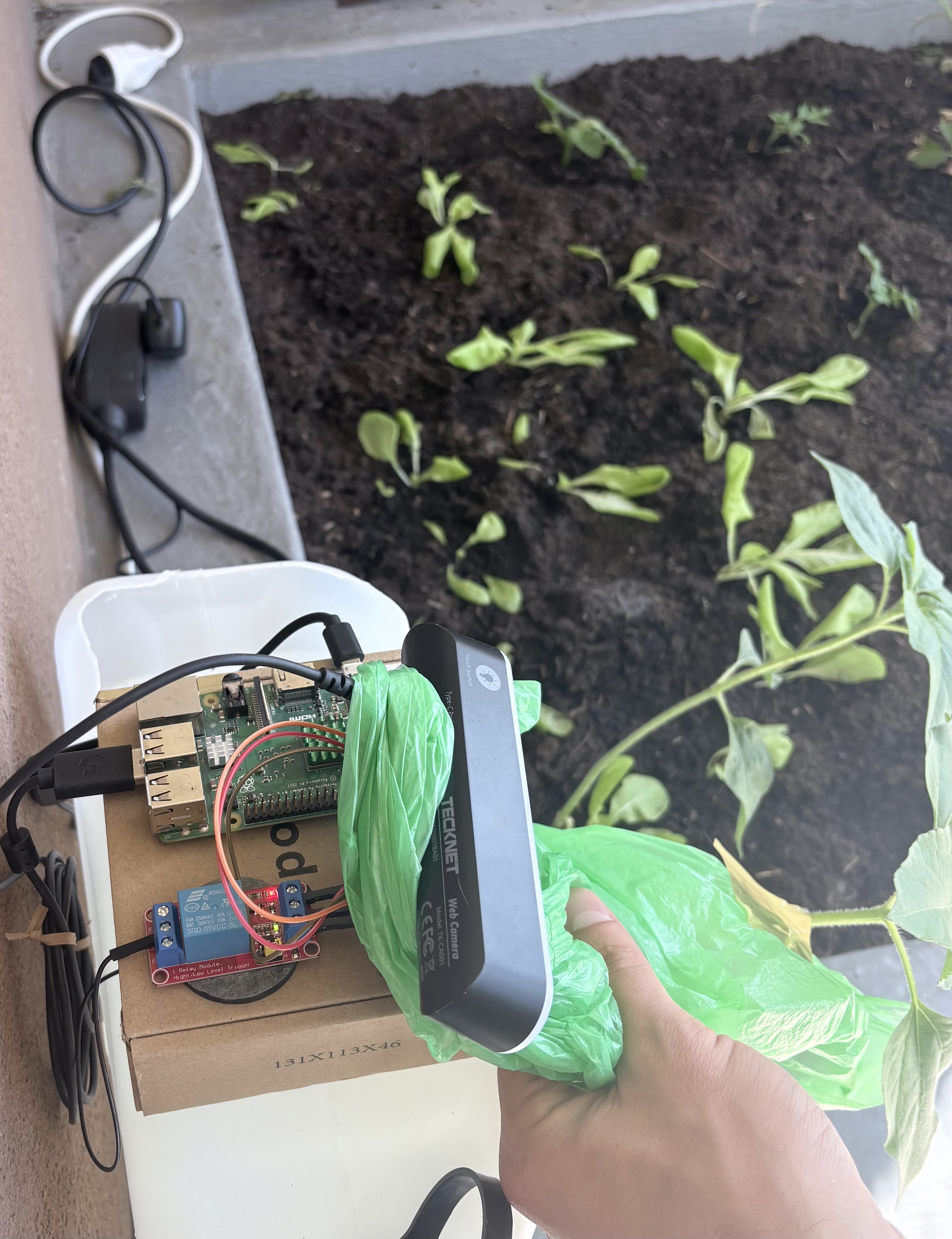 WateringCat: Plant Watering System